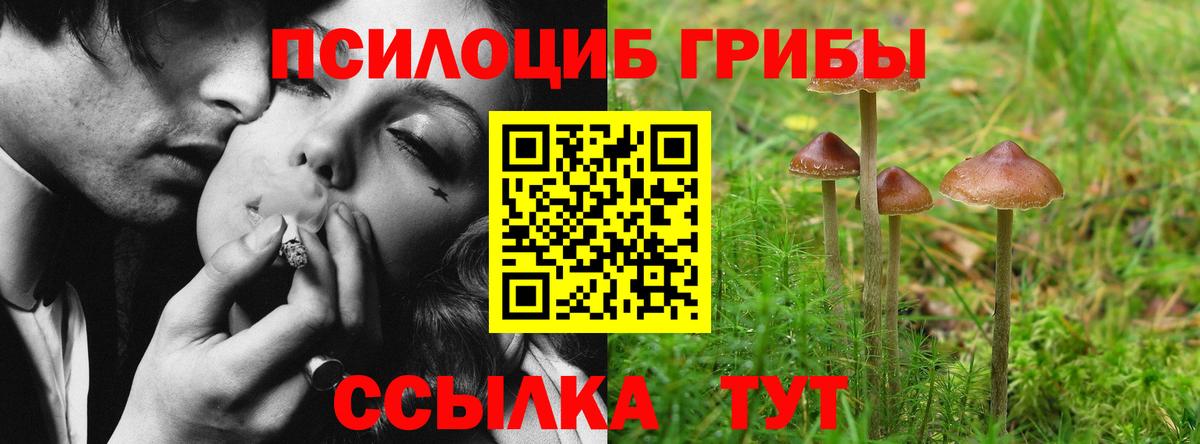 Алушта  Галлюциногенные грибы Cubensis  Вход с VPN 